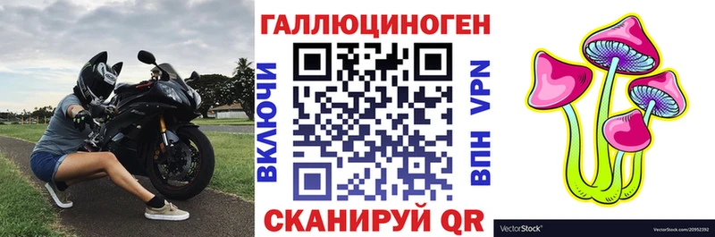 Псилоцибиновые грибы прущие грибы  Дно 